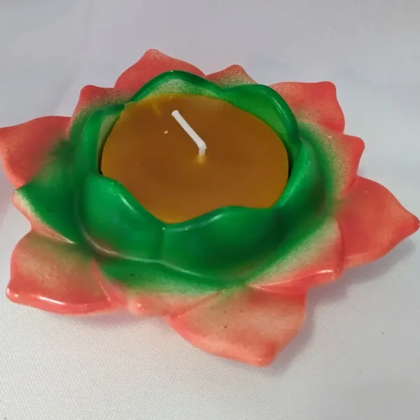 IMG_20250911_151227575_AE