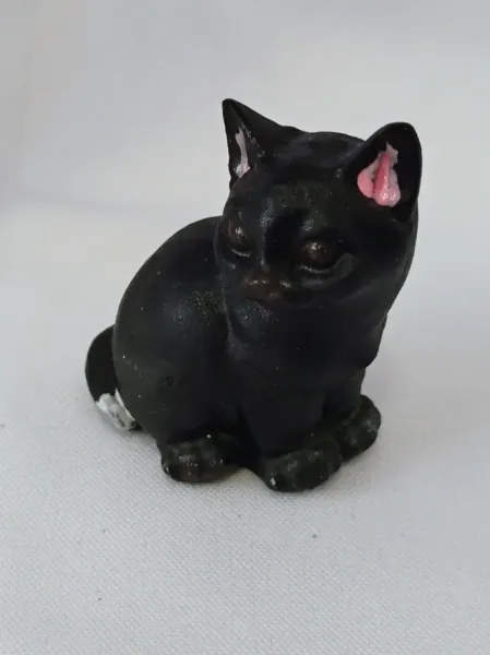 IMG_20250911_155246190_AE