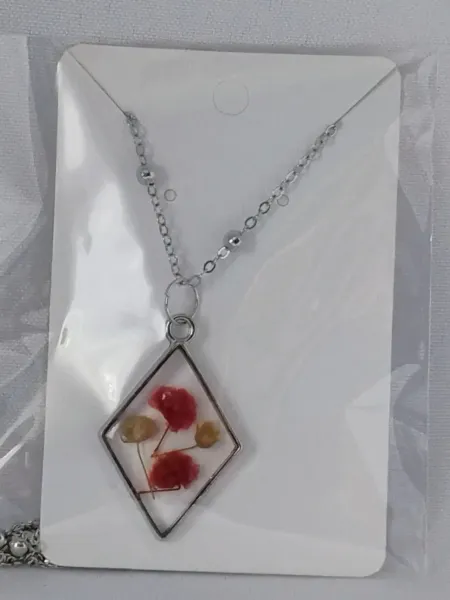 IMG_20250916_111327794_AE