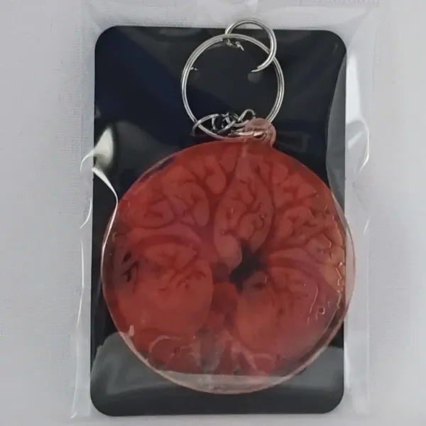 IMG_20250916_113248717_AE