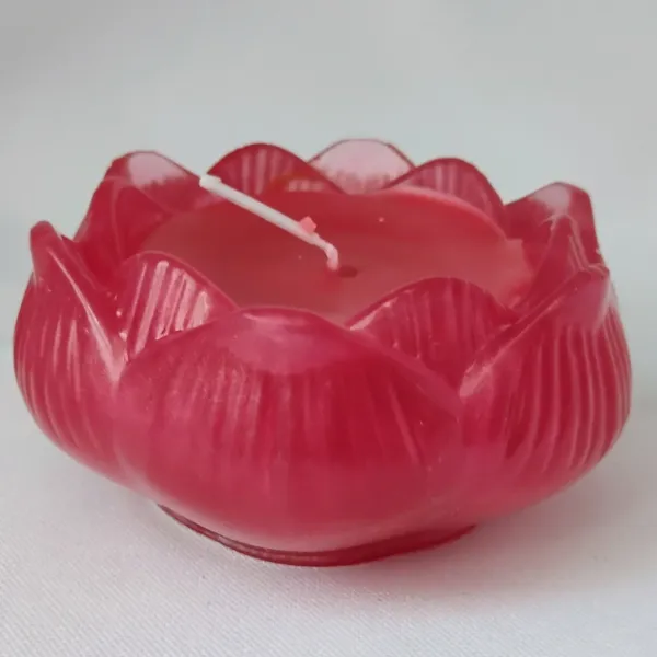 IMG_20250920_131727324_AE