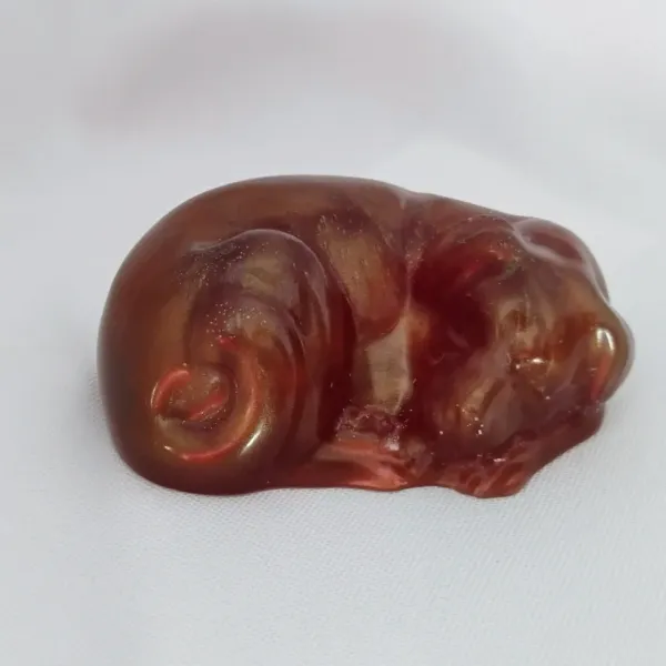 IMG_20250921_155250313_AE