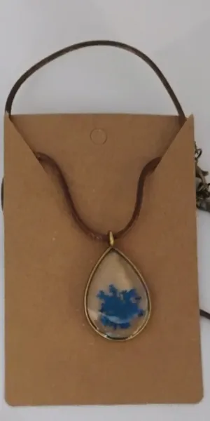 IMG_20251106_145049772_AE