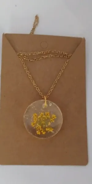 IMG_20251106_145215867_AE