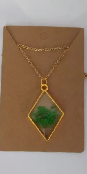 IMG_20251106_145856684_AE