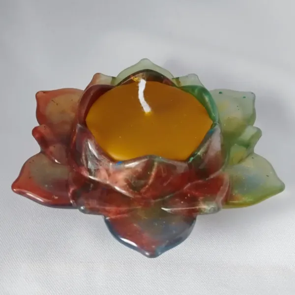 IMG_20260124_103545416_AE