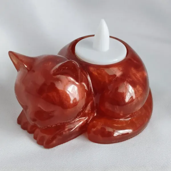 IMG_20260124_110831034_AE