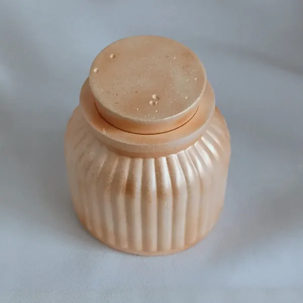 IMG_20260124_111515916_AE