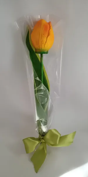 IMG_20260208_132805716