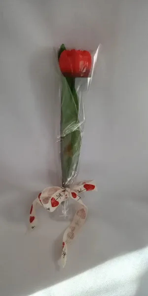 IMG_20260208_132827753_HDR