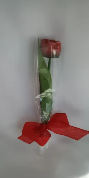 IMG_20260208_132854700