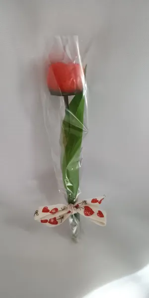 IMG_20260208_132917224