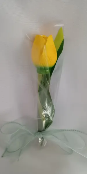 IMG_20260208_132940197