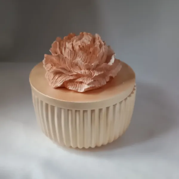 IMG_20260220_152953767