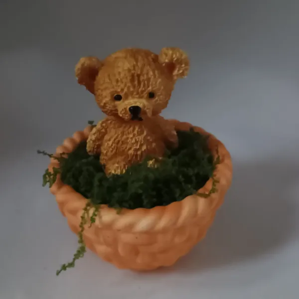 IMG_20260220_153916079