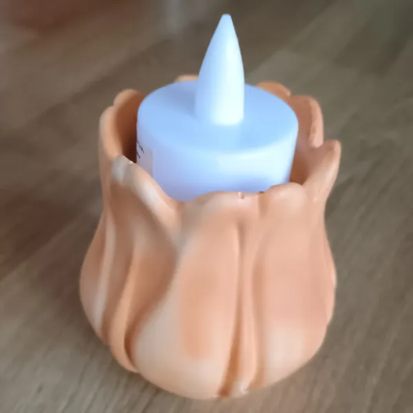 IMG_20260221_095241592