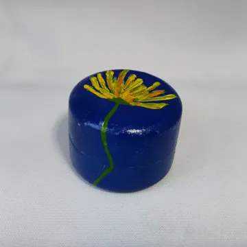 IMG_20250910_152201917_AE