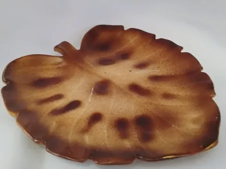 IMG_20250911_154604538_AE