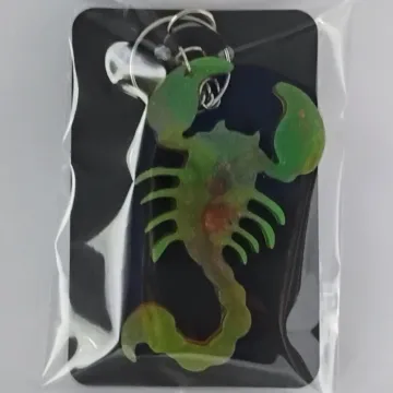 IMG_20250916_112919495_AE