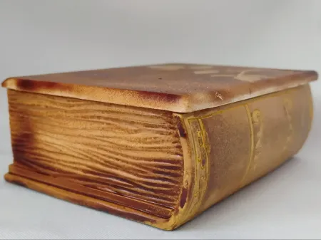 IMG_20250920_130008197_AE