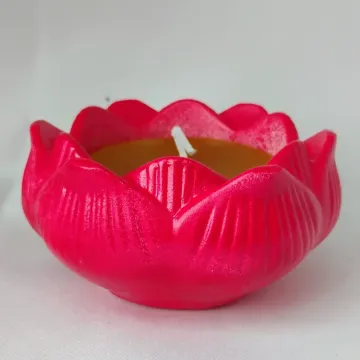 IMG_20250920_131921175_AE