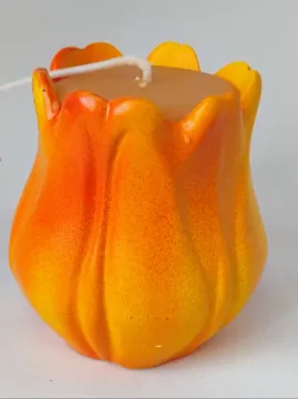 IMG_20250920_132427480_AE