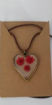 IMG_20251106_145735341_AE