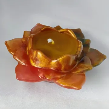 IMG_20260124_103532556_AE