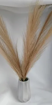 IMG_20260124_104237589_AE