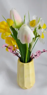 IMG_20260124_104639041_AE