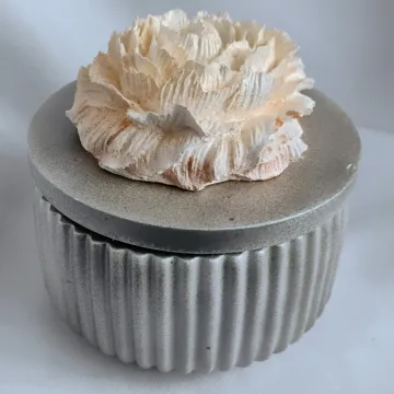 IMG_20260124_105743969_AE