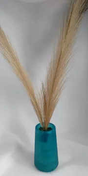 IMG_20260124_110321395_AE