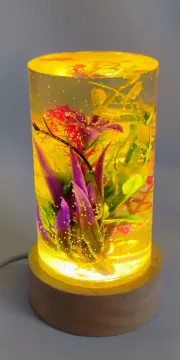 IMG_20260124_110728575_AE