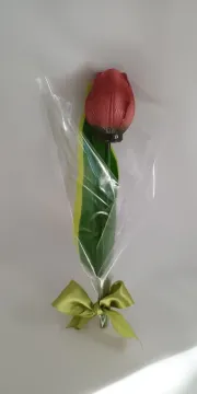 IMG_20260208_132736906