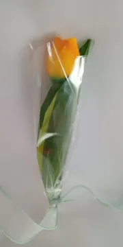 IMG_20260208_132755483