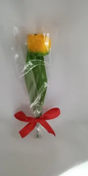 IMG_20260208_132839733