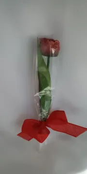 IMG_20260208_132854700