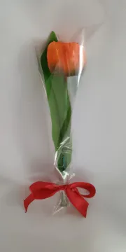 IMG_20260208_132928769