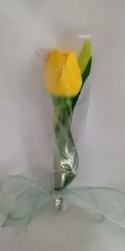 IMG_20260208_132940197