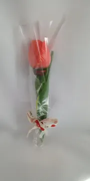 IMG_20260208_133012608