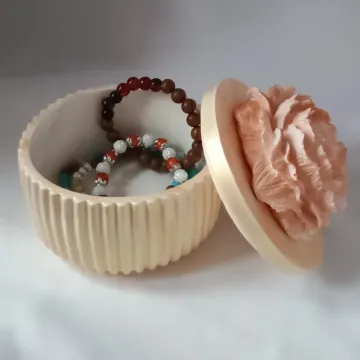 IMG_20260220_153010574