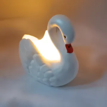 IMG_20260220_154209261_HDR